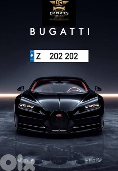 رقم سيارة مميز للبيع Z 202 202