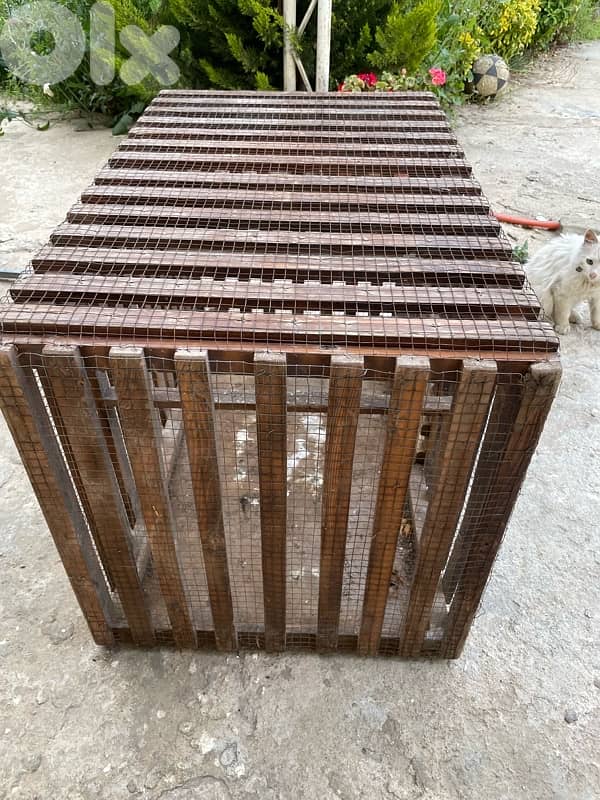 Animal Cage 2