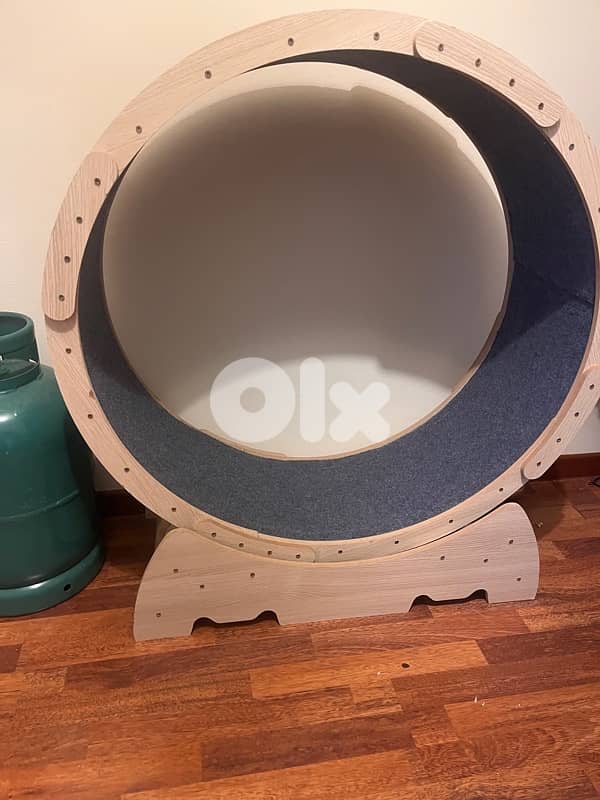 Cat Wheel Toy 1