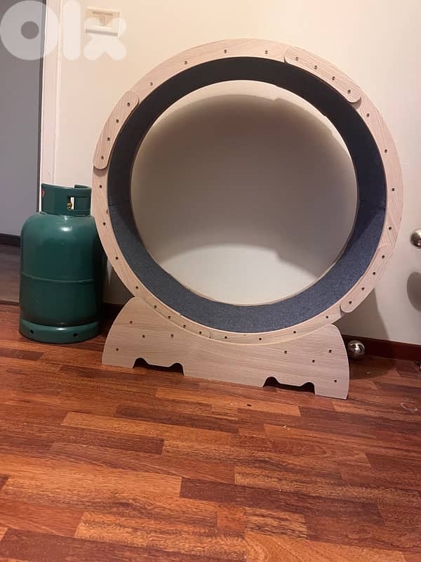 Cat Wheel Toy 3