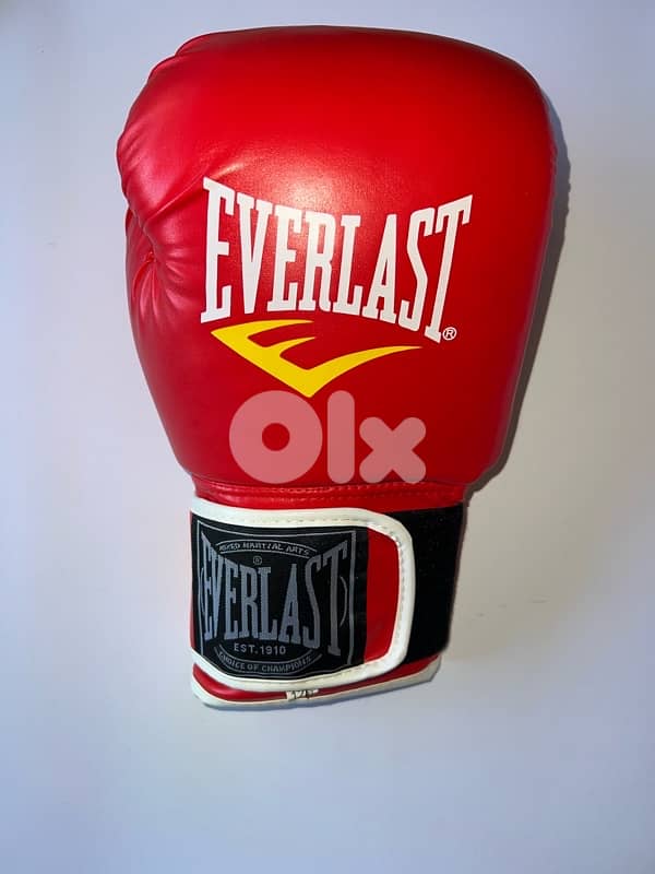 EVERLAST Boxing Gloves 2