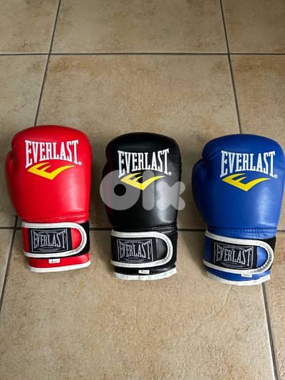 EVERLAST Boxing Gloves