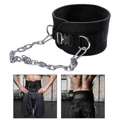 New Weighted Dip Belt