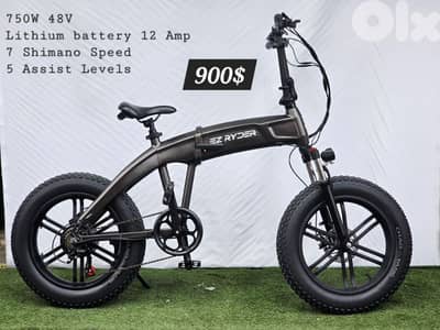 Cabroulat foldable E Bike lithium battery 48v 750W