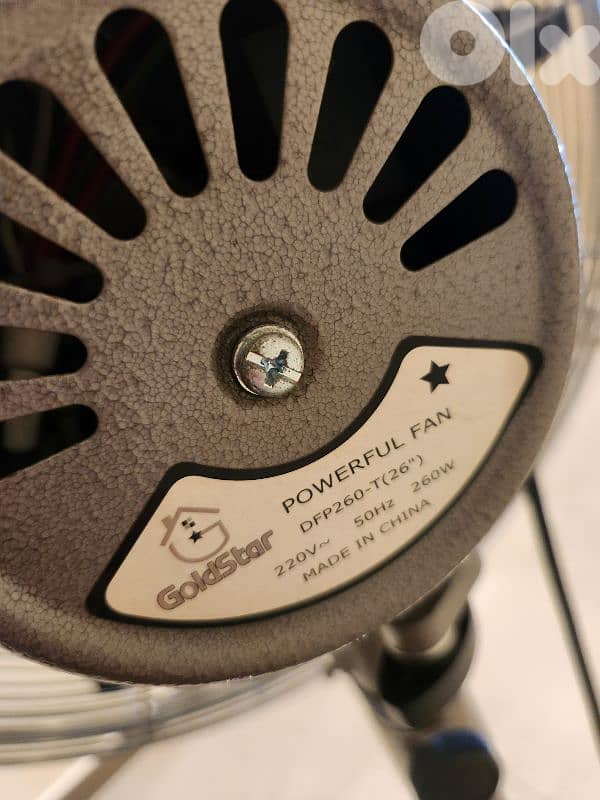 LARGE FAN 2