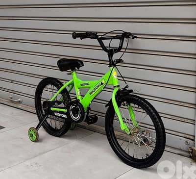 bicycle 18