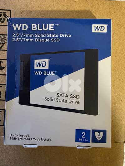 SSD 2 TB WESTERN DIGITAL BLUE
