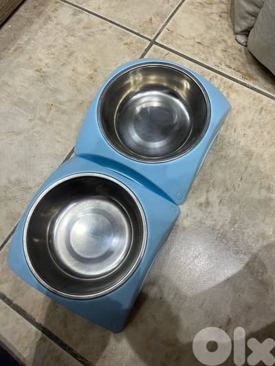 dog bowls
