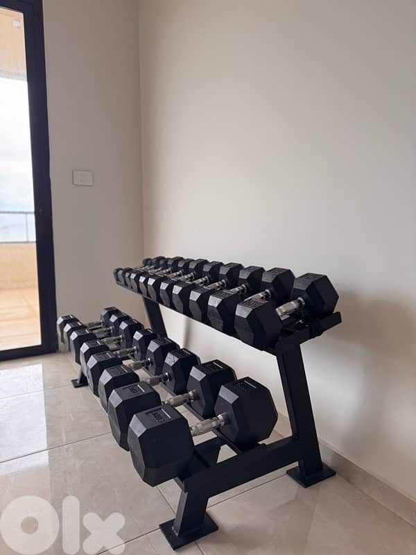 Dumbells and rack and bench 1