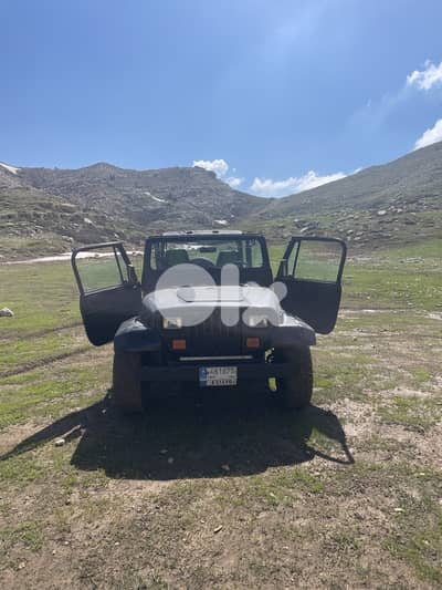 Jeep Wrangler 1994  original