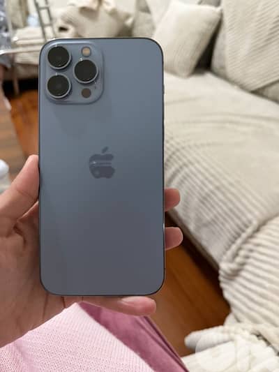 13 pro max