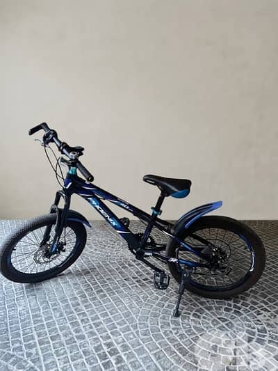 Phoenix special Bikes