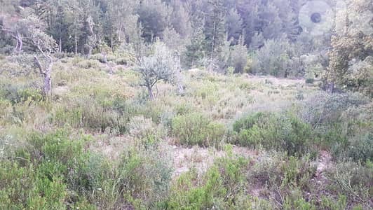 GMN178CM Land for sale in Zgharta - أرض للبيع في زغرتا