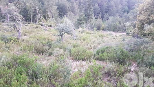 GMN183CM Land for sale in Zgharta - أرض للبيع في زغرتا