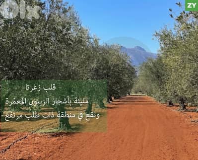 قطعة أرض/ Zgharta/زغرتا/تقع في بيئة هادئة / REF#ZY135878 !