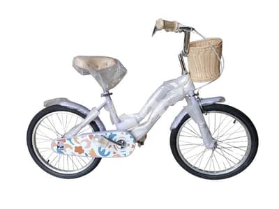 20 inch bicycle