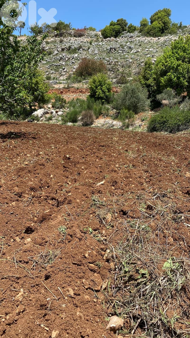 Land for sale in Jbaa Chouf عقار للبيع في جباع الشوف 1