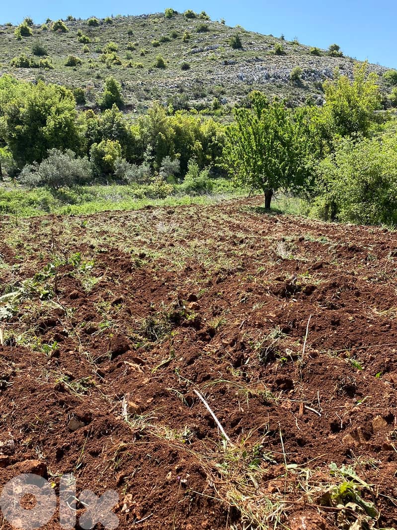 Land for sale in Jbaa Chouf عقار للبيع في جباع الشوف 2