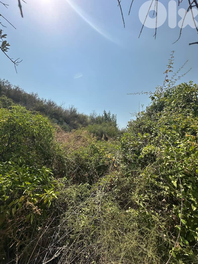 Land for sale in Damour Chouf عقار للبيع في الدامور الشوف 1