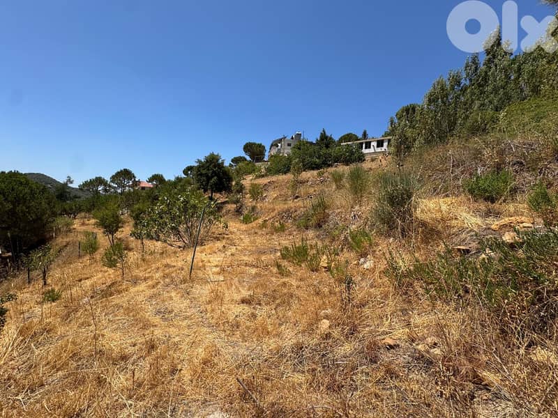 Land for sale in Maaser Chouf عقار للبيع في معاصر الشوف 1