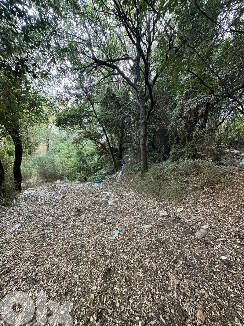 Land for sale in Batloun Chouf عقار للبيع في بتلون الشوف 1