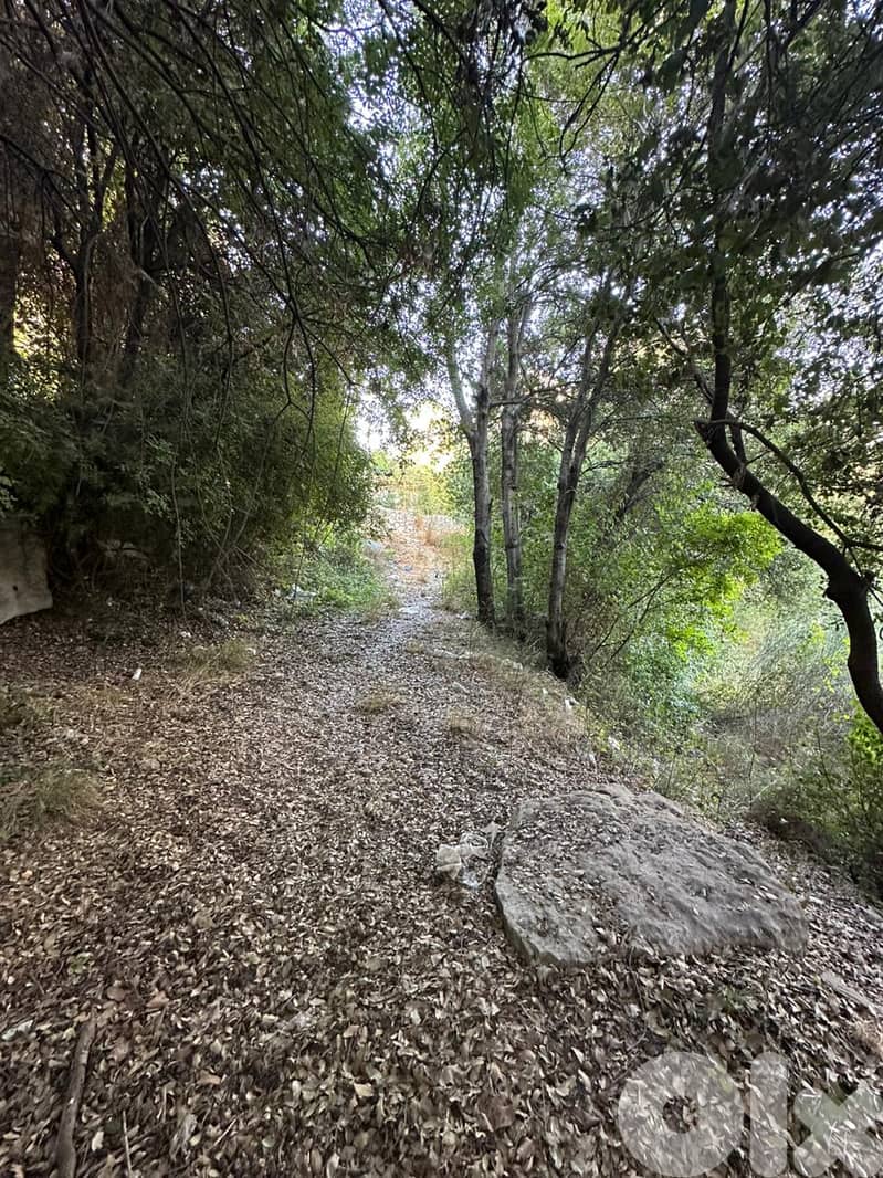 Land for sale in Batloun Chouf عقار للبيع في بتلون الشوف 2