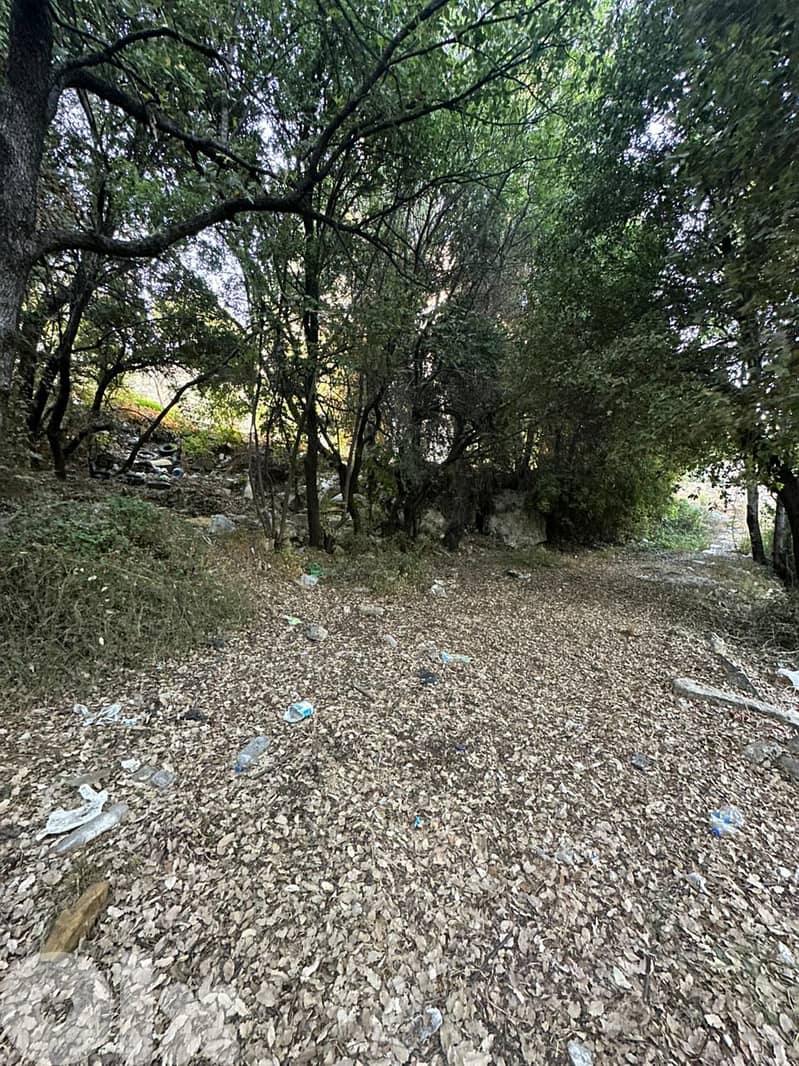 Land for sale in Batloun Chouf عقار للبيع في بتلون الشوف 3