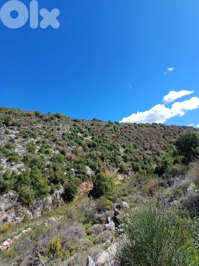 Land for sale in Assia Batrounعقار للييع في اسيا البترون 1