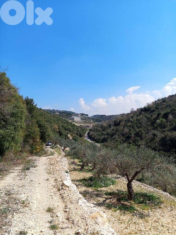 Land in Jrabta Batroun 5000m² ONLY for 300K في جربتا 1