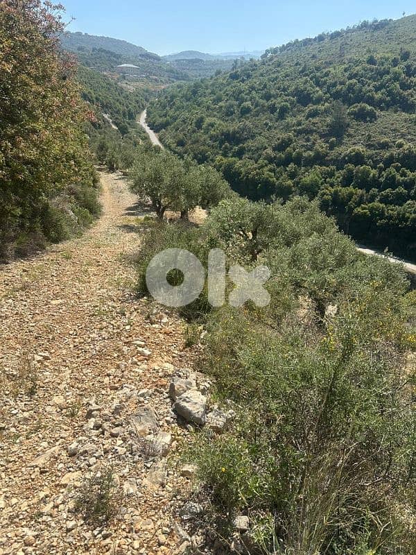 Land in Jrabta Batroun 5000m² ONLY for 300K في جربتا 2