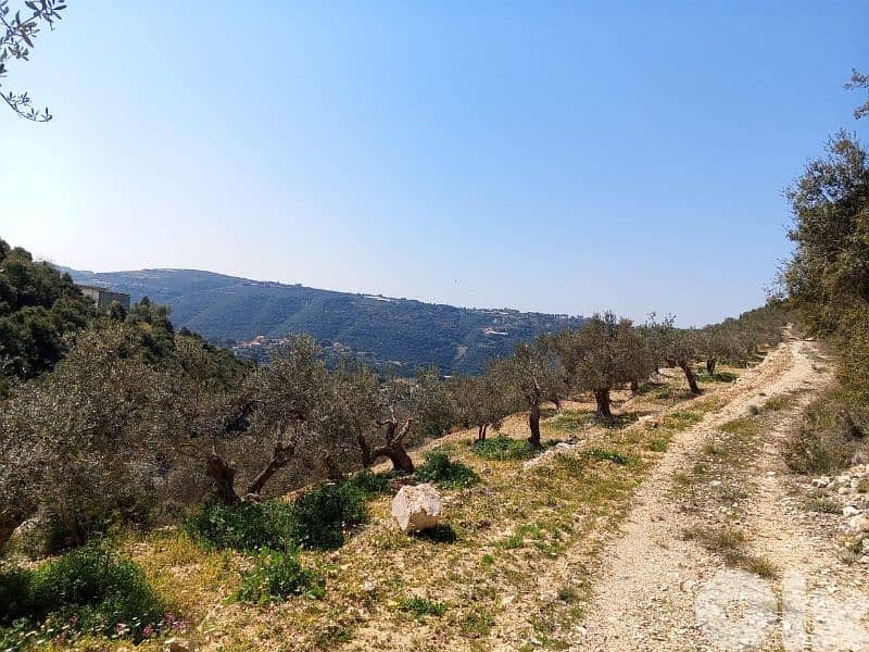 Land in Jrabta Batroun 5000m² ONLY for 300K في جربتا 3