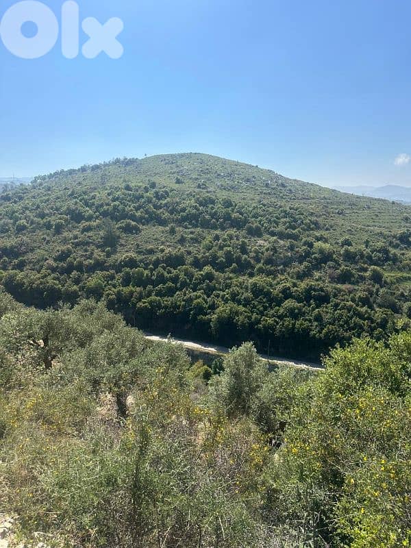 Land in Jrabta Batroun 5000m² ONLY for 300K في جربتا 4