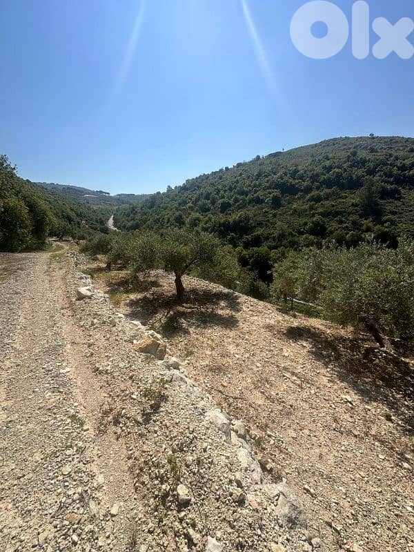 Land in Jrabta Batroun 5000m² ONLY for 300K في جربتا 5