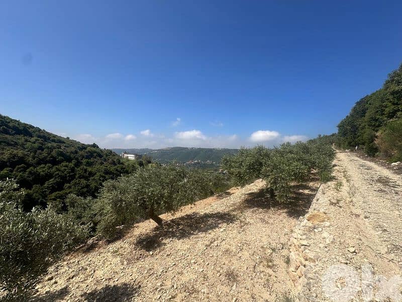 Land in Jrabta Batroun 5000m² ONLY for 300K في جربتا 7