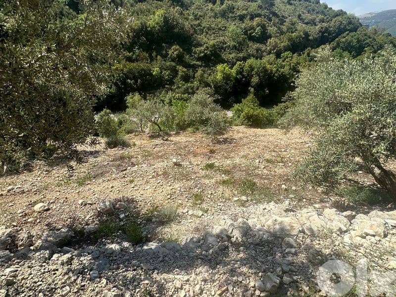 Land in Jrabta Batroun 5000m² ONLY for 300K في جربتا 8