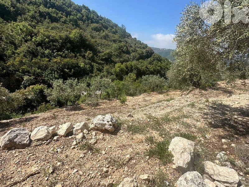 Land in Jrabta Batroun 5000m² ONLY for 300K في جربتا 9