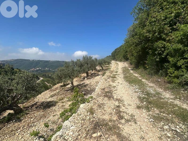 Land in Jrabta Batroun 5000m² ONLY for 300K في جربتا 10