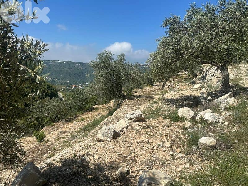 Land in Jrabta Batroun 5000m² ONLY for 300K في جربتا 11