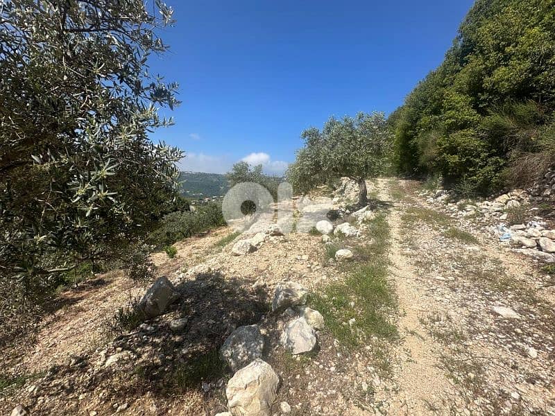 Land in Jrabta Batroun 5000m² ONLY for 300K في جربتا 12