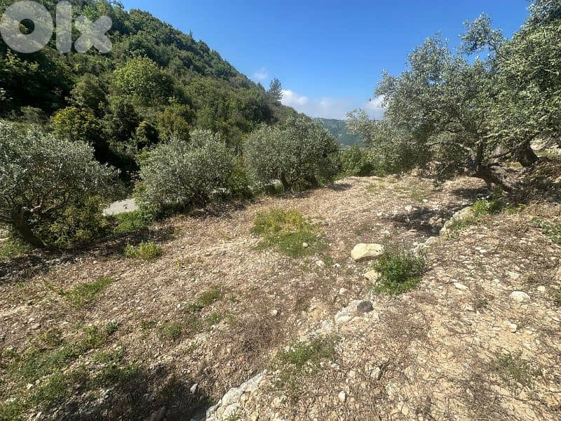 Land in Jrabta Batroun 5000m² ONLY for 300K في جربتا 14