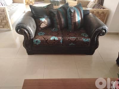salon sofa for living room