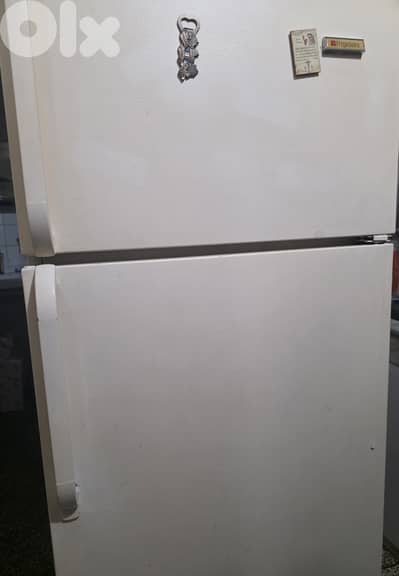 Frigidaire refrigerator