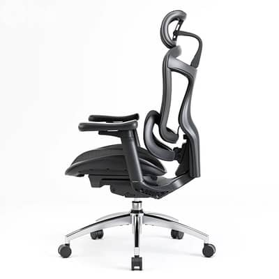 Sihoo Doro C300 ergonomic chair