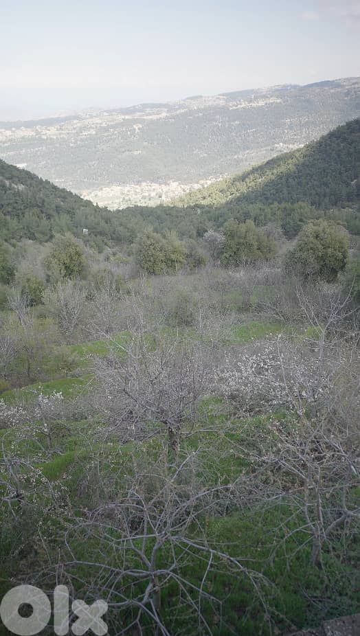 Land for sale in Ejbeh – Zgharta أرض للبيع في إجبع - زغرتا 1
