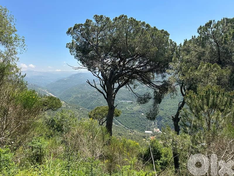 Hot Deal Land For Sale In Beit Mery Zone B ارض للبيع في بيت مري 3
