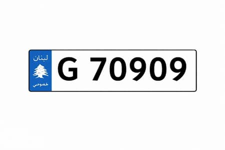 Special 5 Digits Car Plate Number