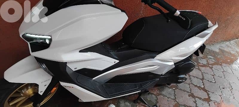 v max 2022 175 cc 5