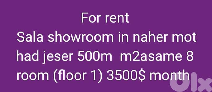 For rent showroom in naher mot had jeser 500m m2asame 8 room (floor 1)