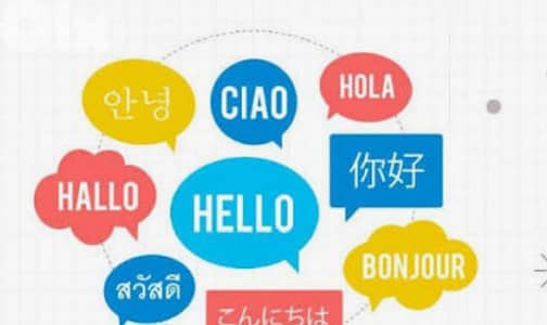 Teacher :English,french and arabic
