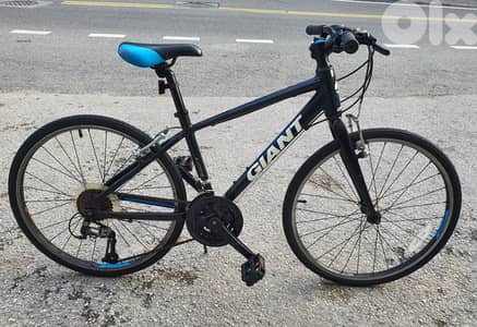 Giant Revel 24" full Aluminium